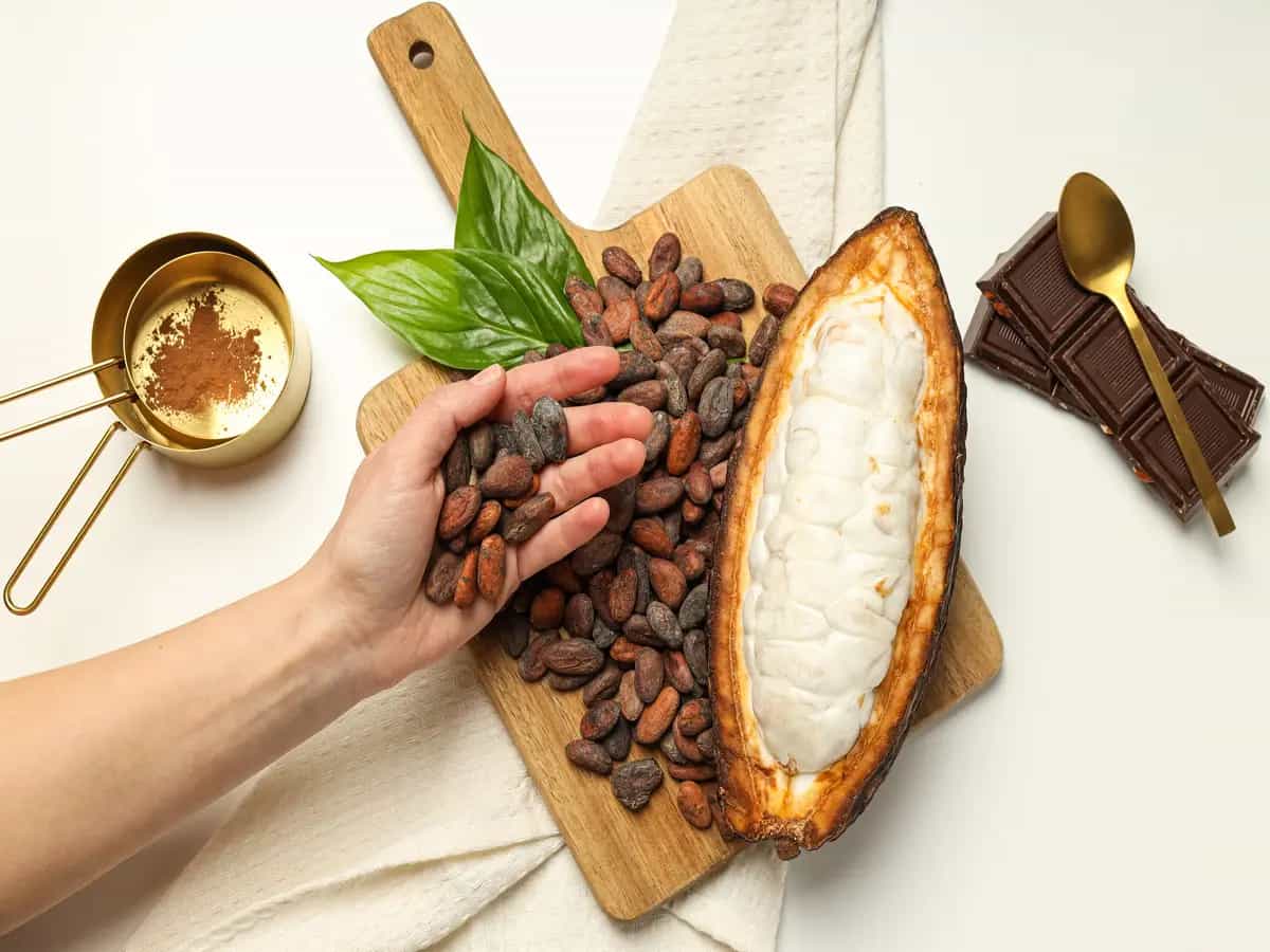 Il cacao sostenibile conviene a tutti