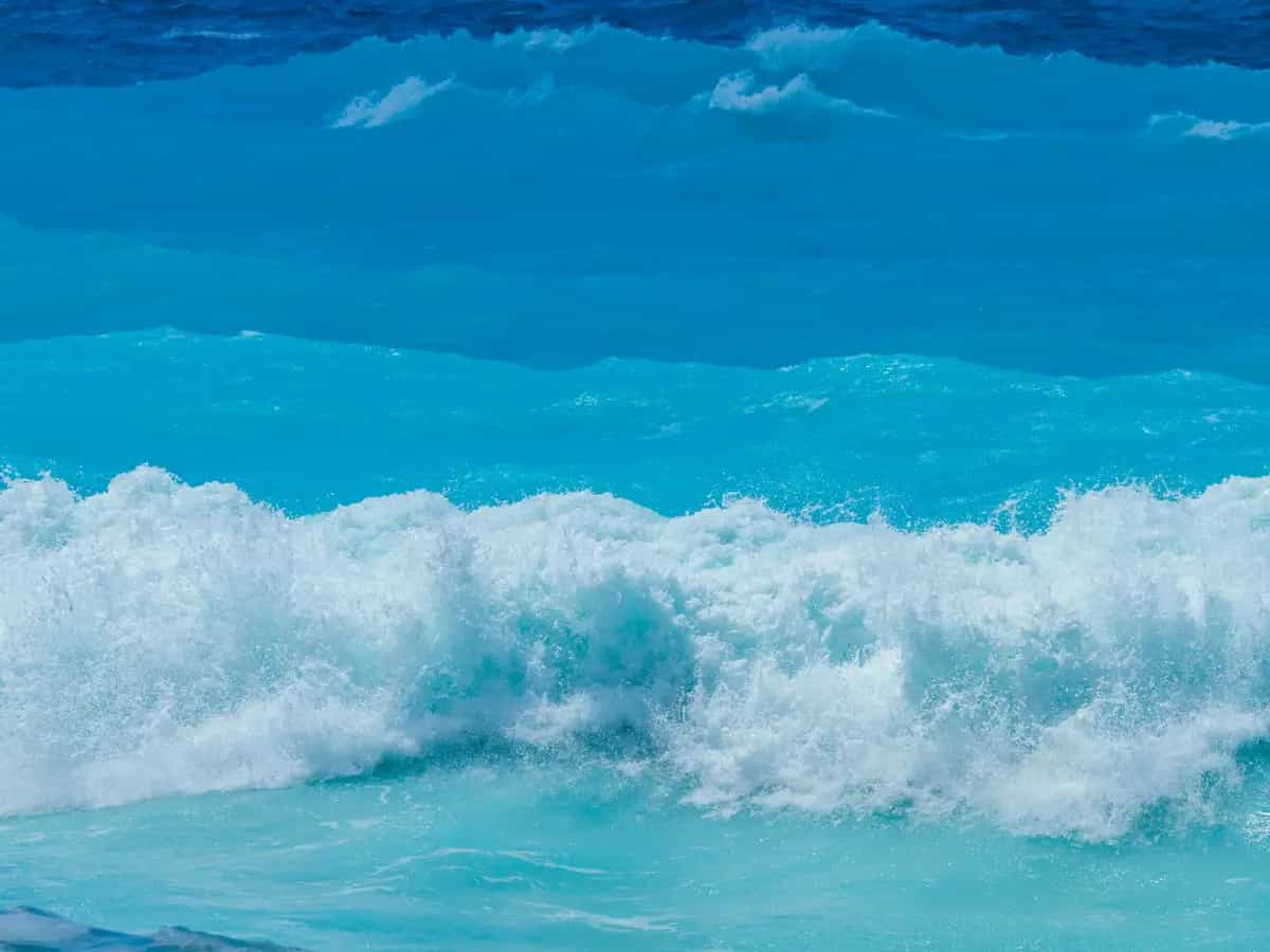 Perché le acque di due oceani non si mescolano