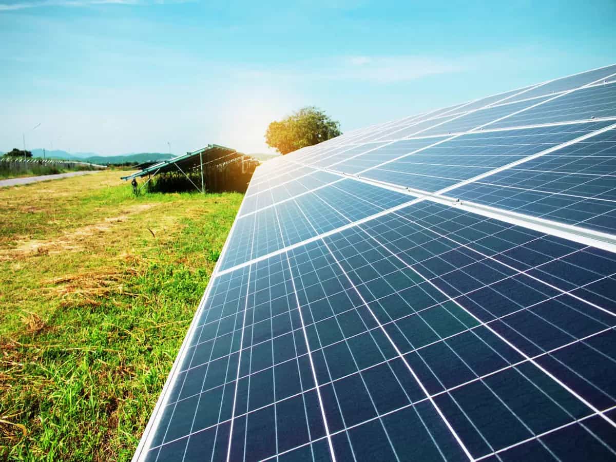 Agrivoltaico, avviato in Sicilia il più grande parco in Italia