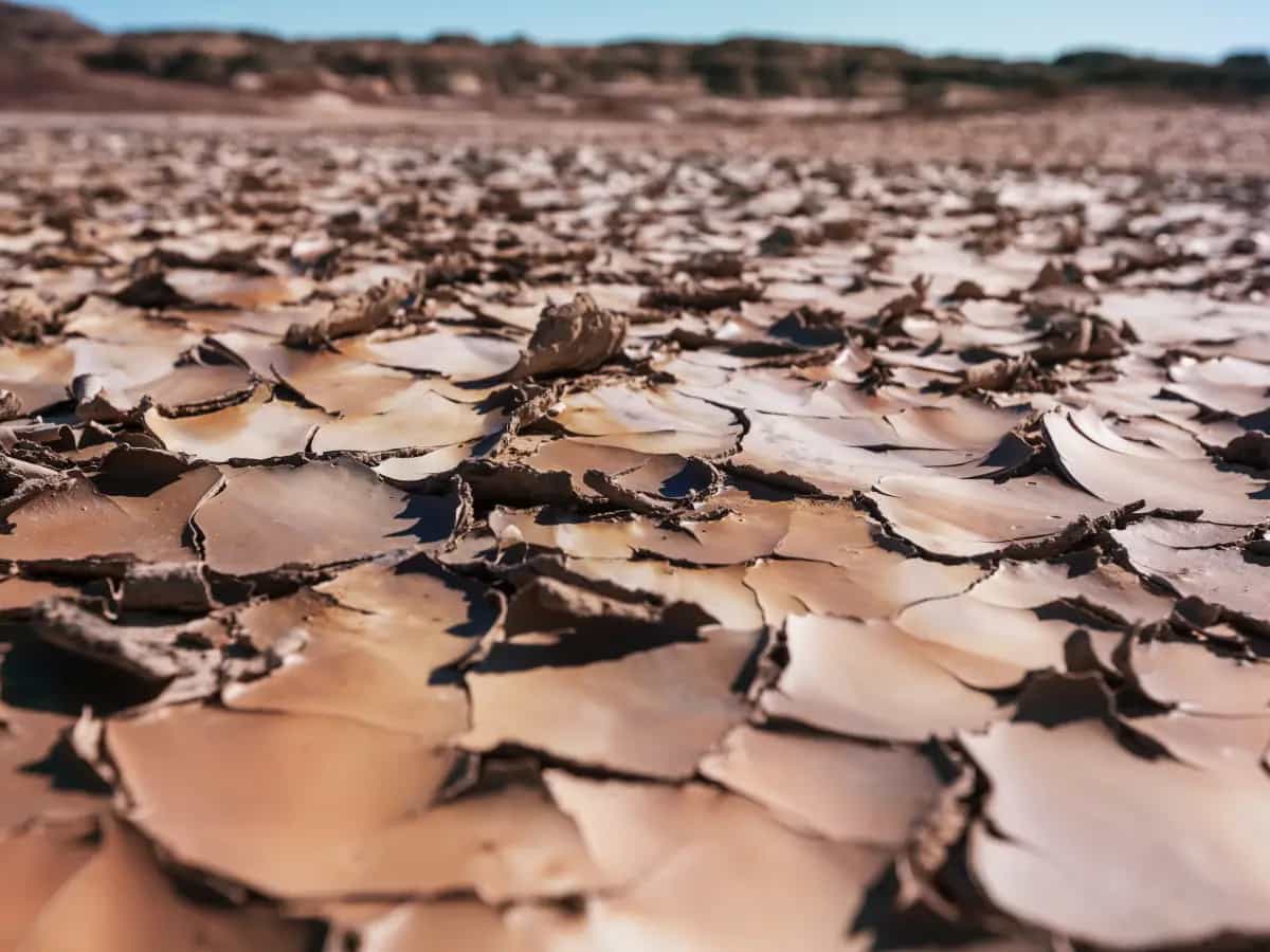 rischio desertificazione