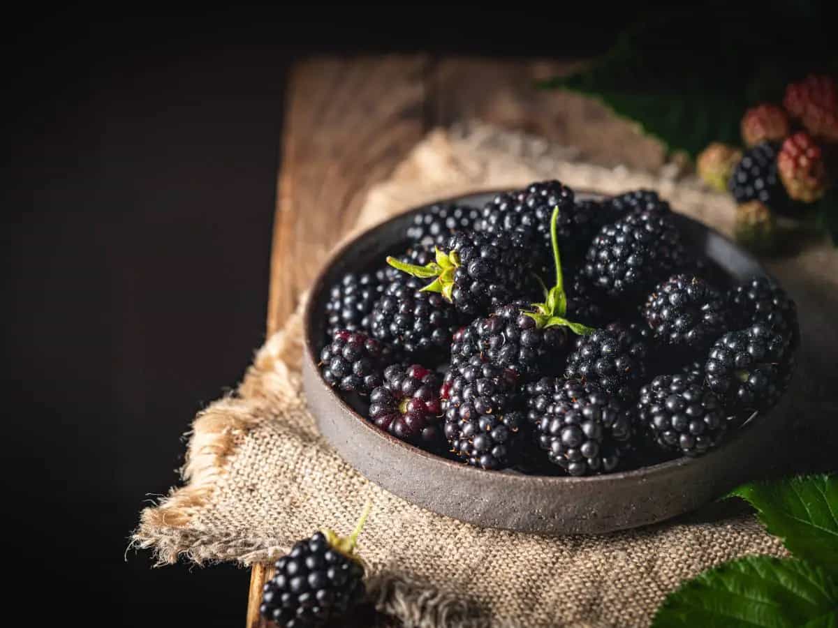 A cosa fanno bene le more: le proprietà benefiche del frutto