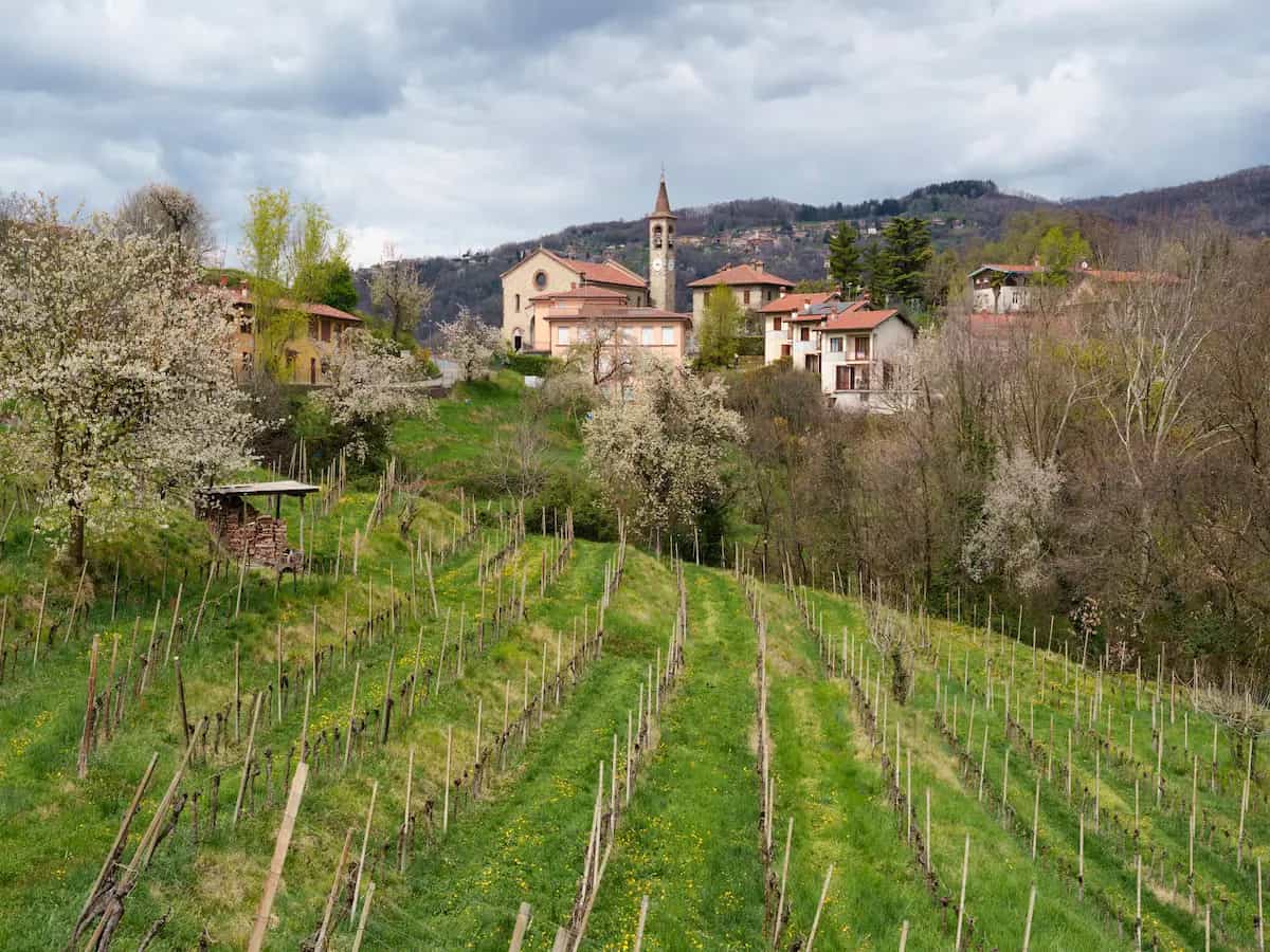 Piramidi di Montevecchia: le misteriose formazioni rocciose della Brianza