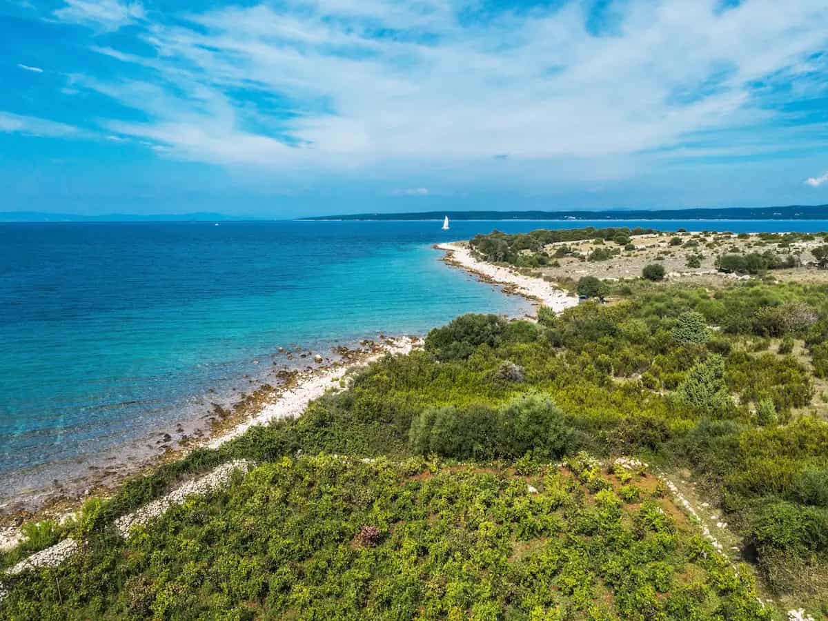Cos'è la macchia mediterranea?