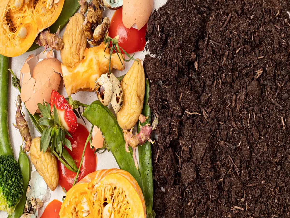 Le bioplastiche possono diventare compost: i risultati di uno studio francese