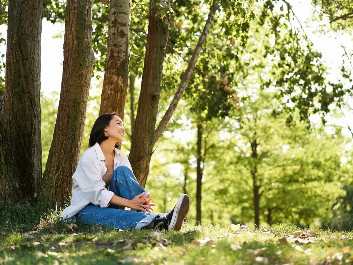 La terapia segreta degli alberi
