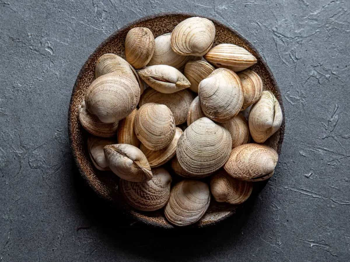 Qual è la differenza tra vongole e vongole veraci?