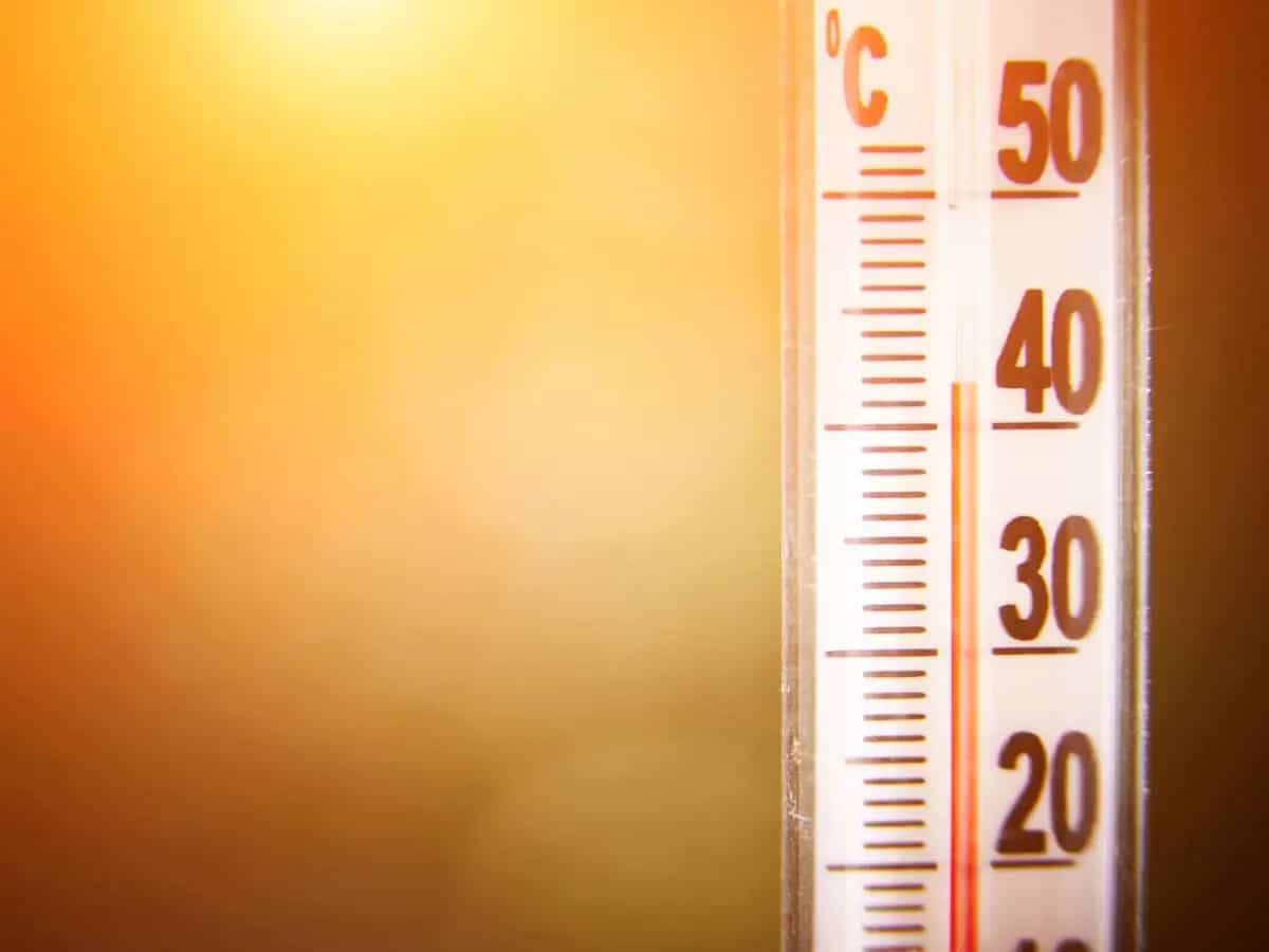 Ondate di calore: in Europa nel 2022 record di morti