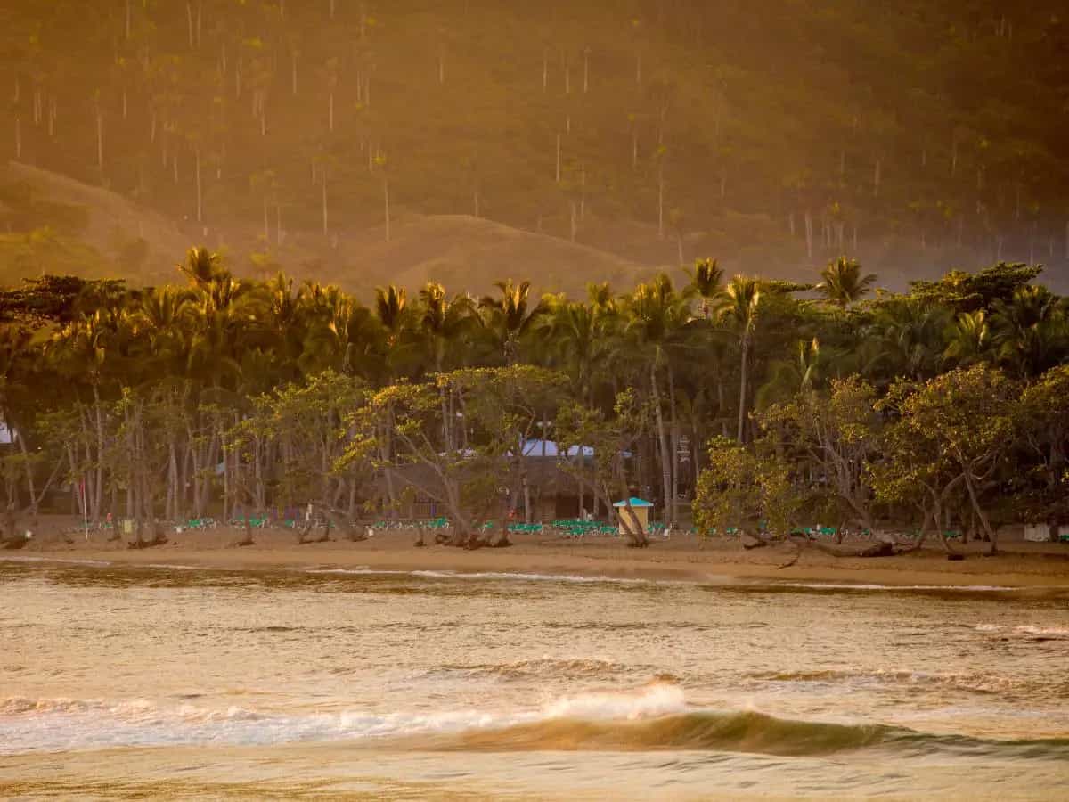 Cosa si intende per tropicalizzazione del clima?