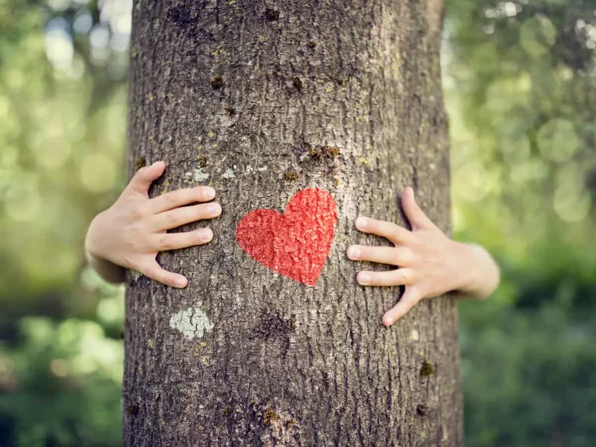 Biofilia: l’amore per la natura è una caratteristica universale?