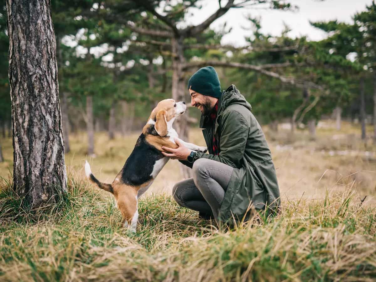 Quali sono i benefici di possedere un cane?