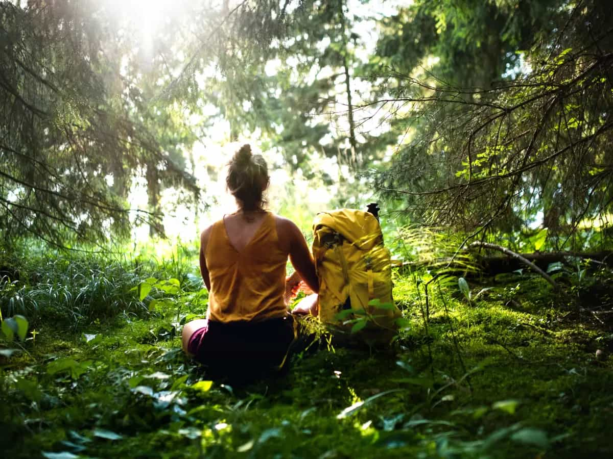 3 benefici dei bagni di foresta