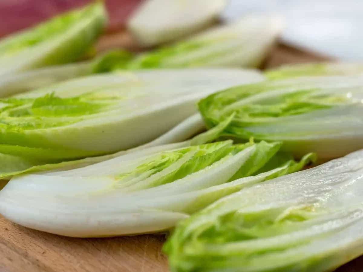 Cicoria: proprietà e benefici della verdura