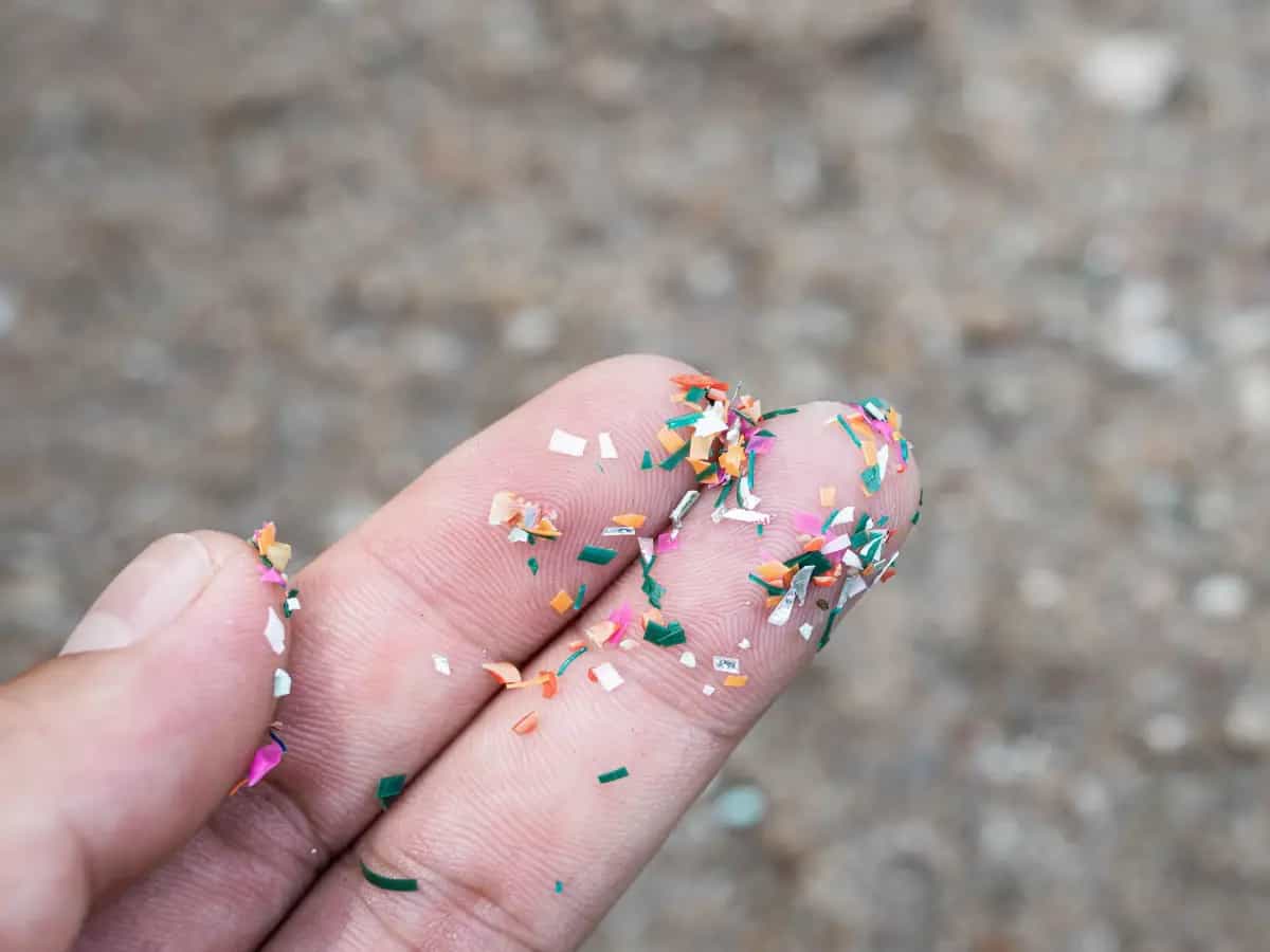 Le microplastiche nel suolo producono batteri resistenti agli antibiotici