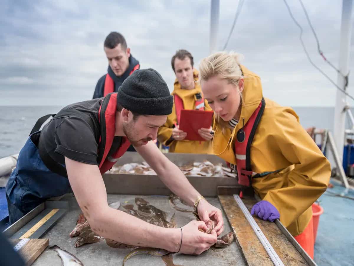 Le più antiche tracce dei pesci fossili ritrovate in Italia