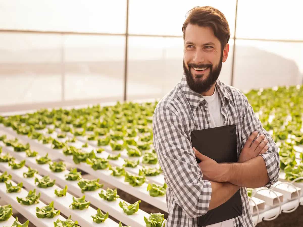 Cos'è l'agricoltura idroponica
