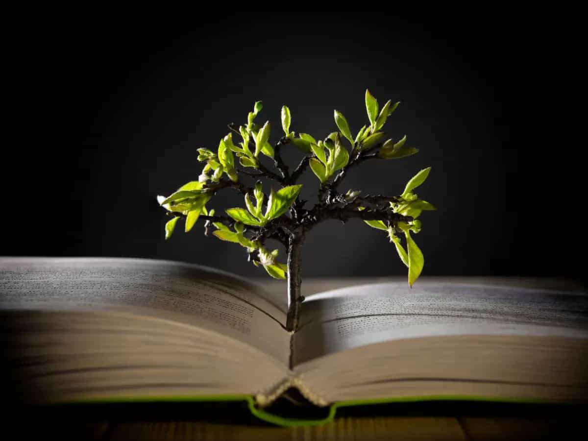 Le più belle frasi di Italo Calvino su natura e ambiente