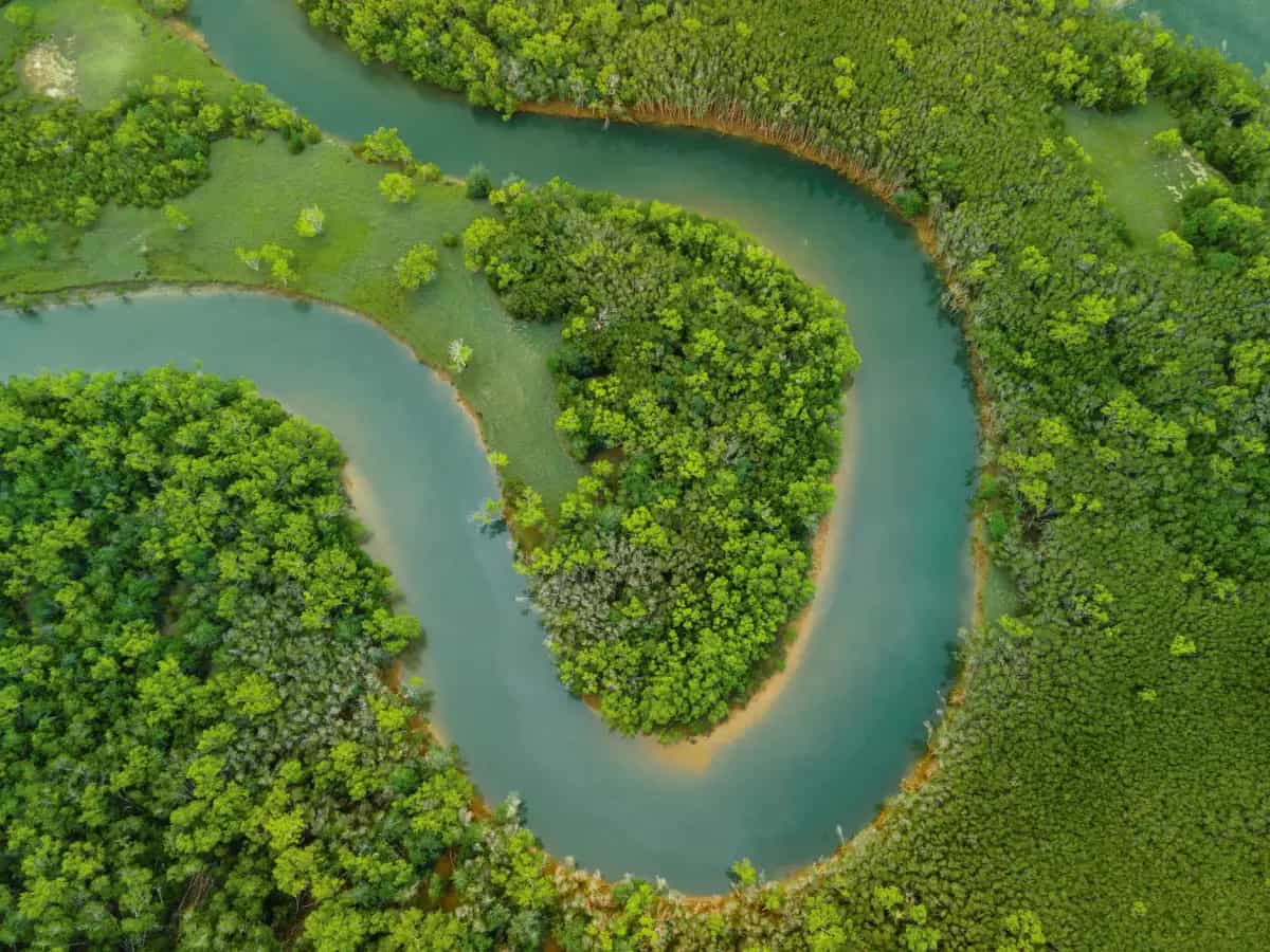 amazzonia siccita incisioni