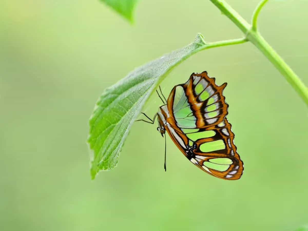 Just Fashion Transition 2023: tutti i numeri della transizione green nella moda
