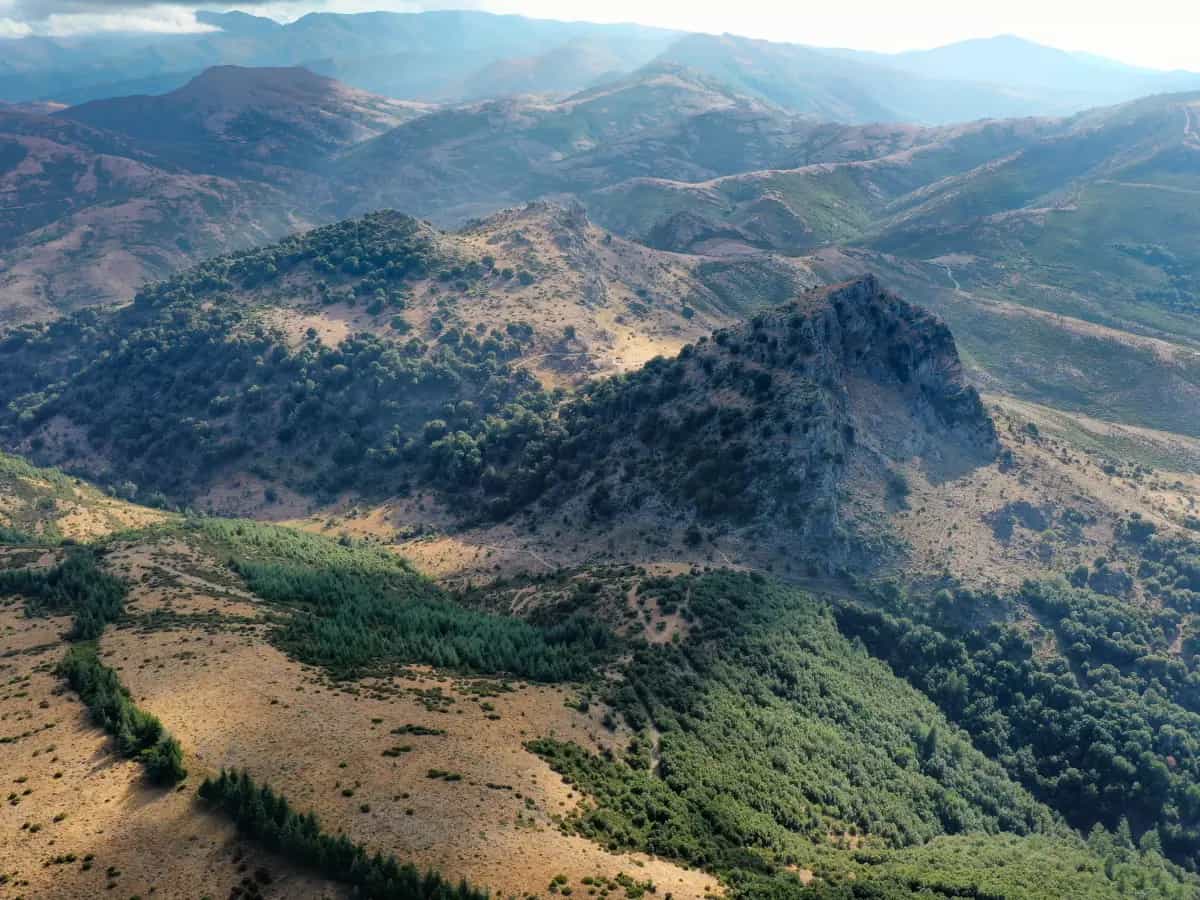 Parco Italia: 22 milioni di nuovi alberi entro il 2040