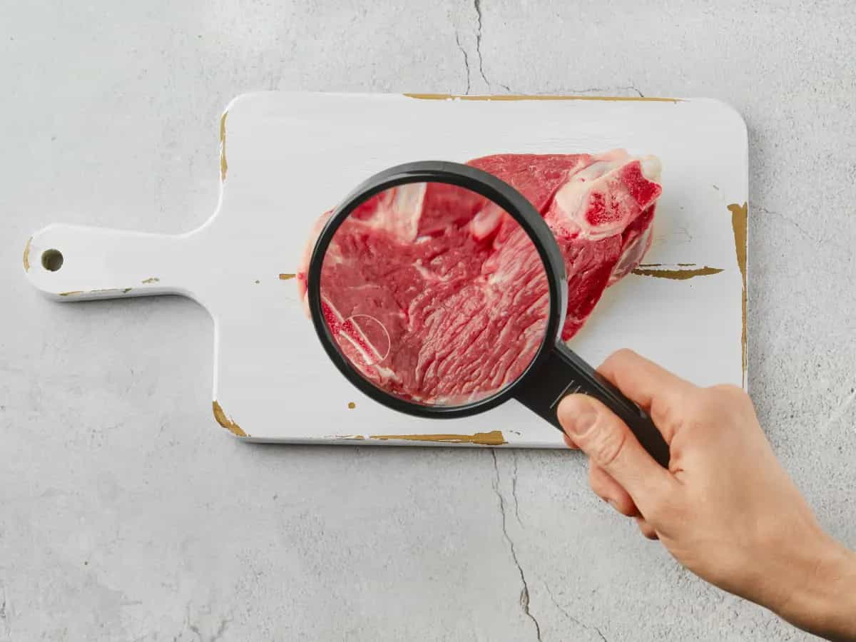 carne coltivata cibo animali