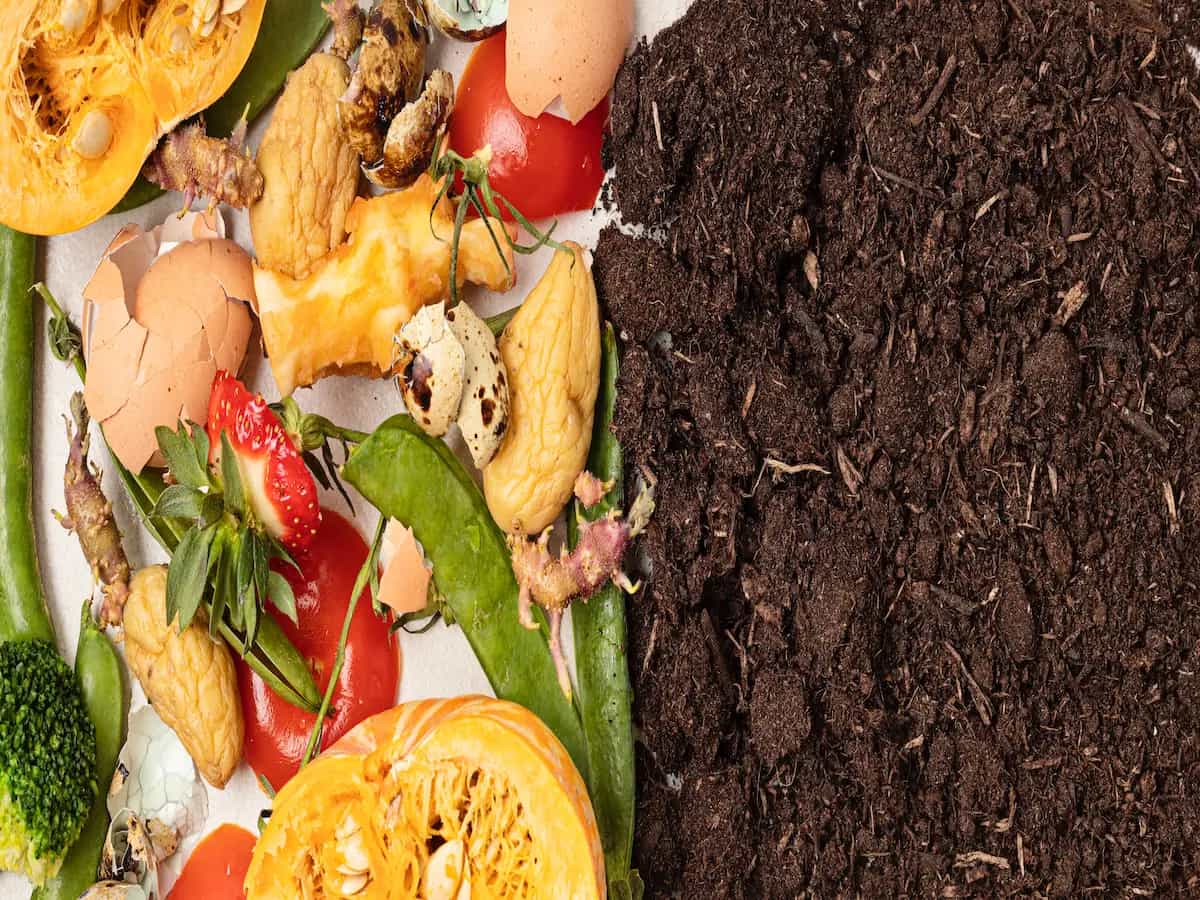 Compostaggio domestico, come si fa?