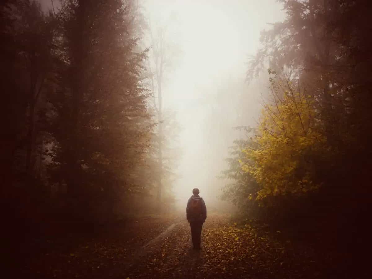 Nebbia, la bellissima poesia di Giovanni Pascoli