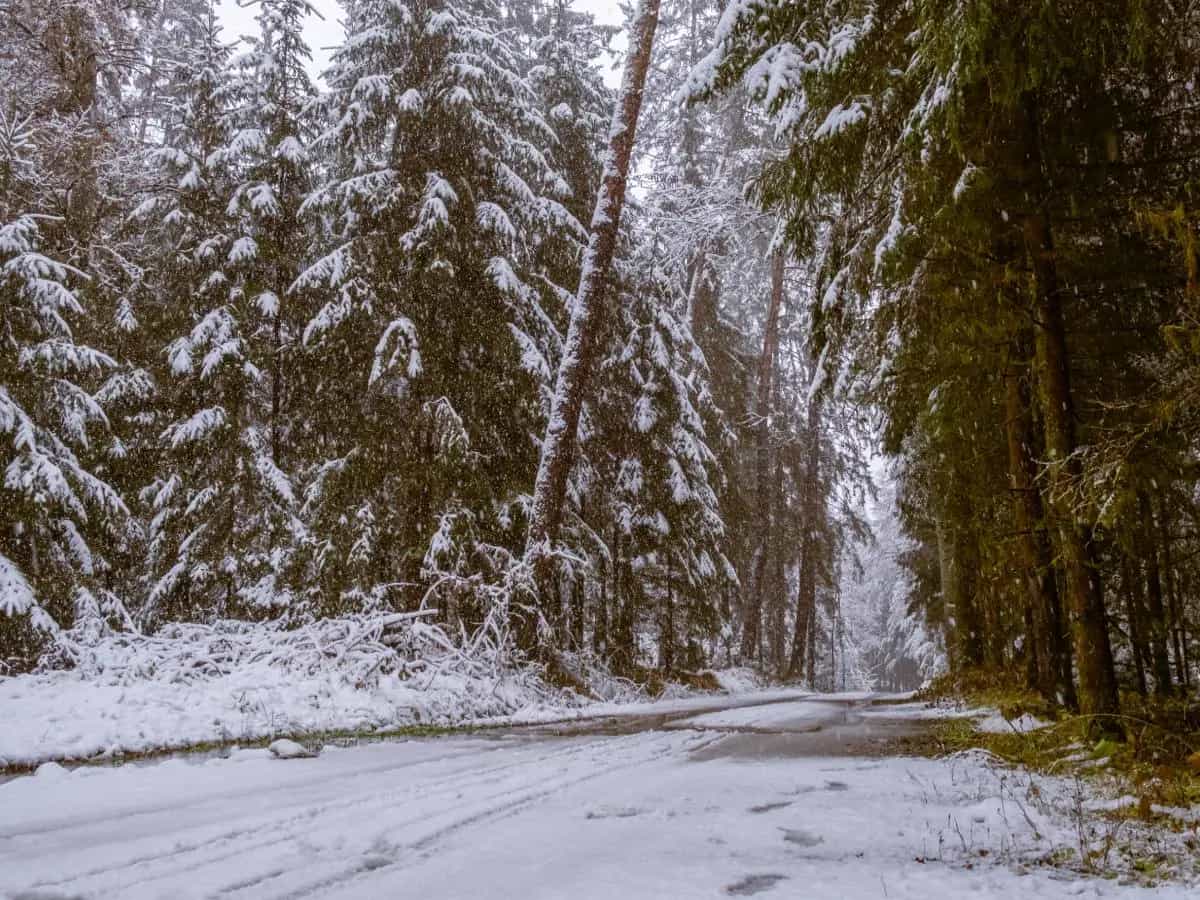 A quale temperatura può iniziare a nevicare?