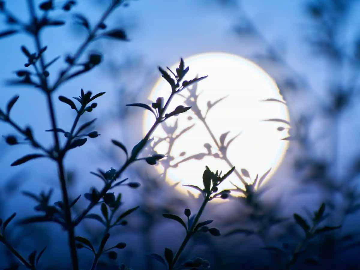 Le poesie più belle sull’inverno