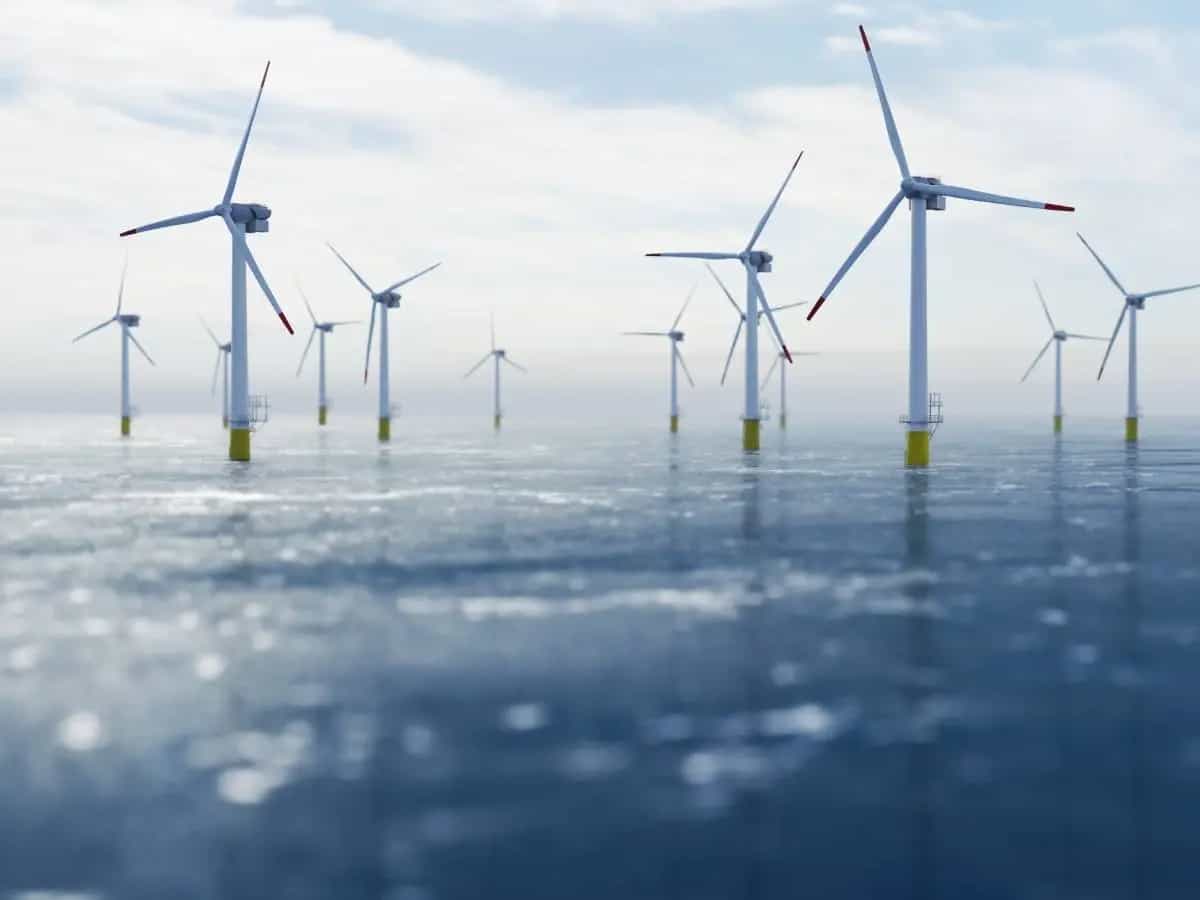 Uccelli, le energie rinnovabili sono una minaccia?