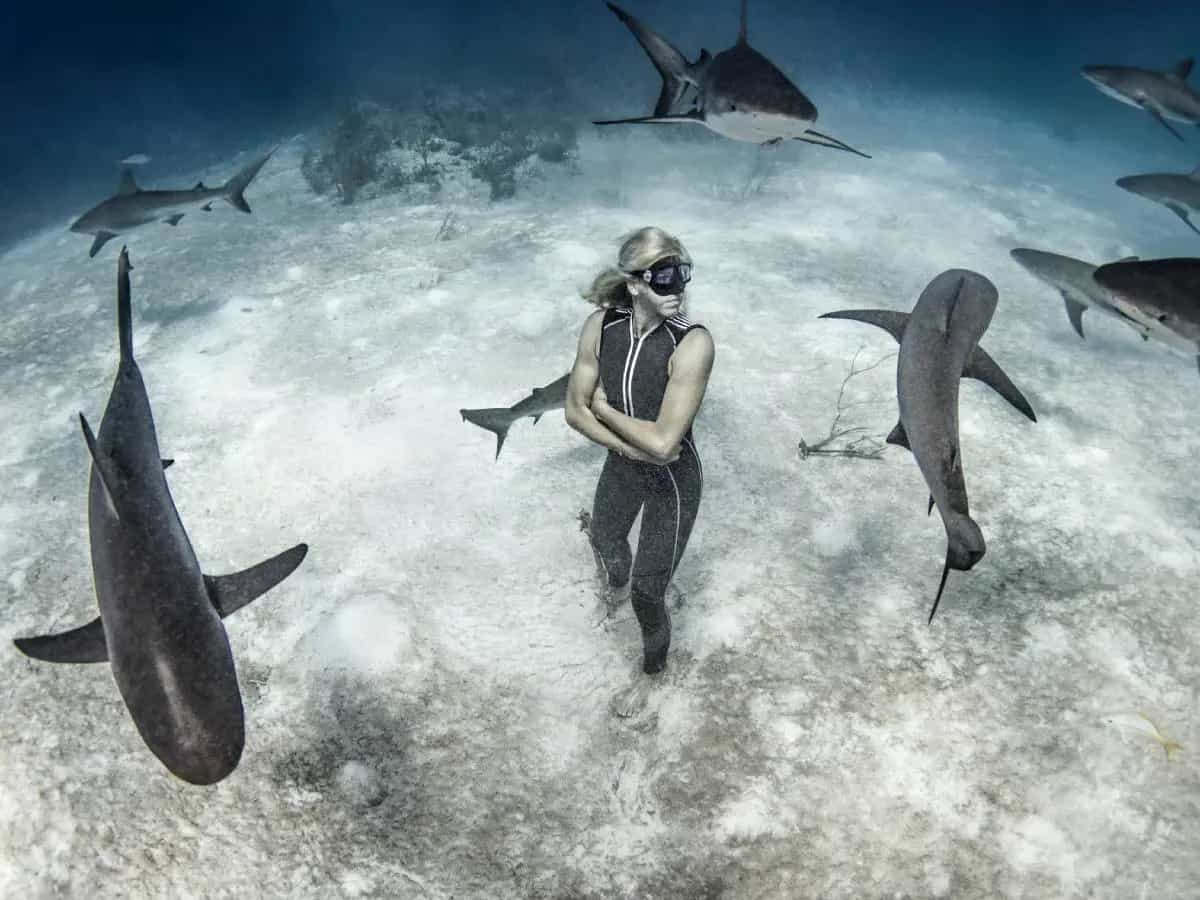 Squali, quelli uccisi dall’uomo sono ancora troppi