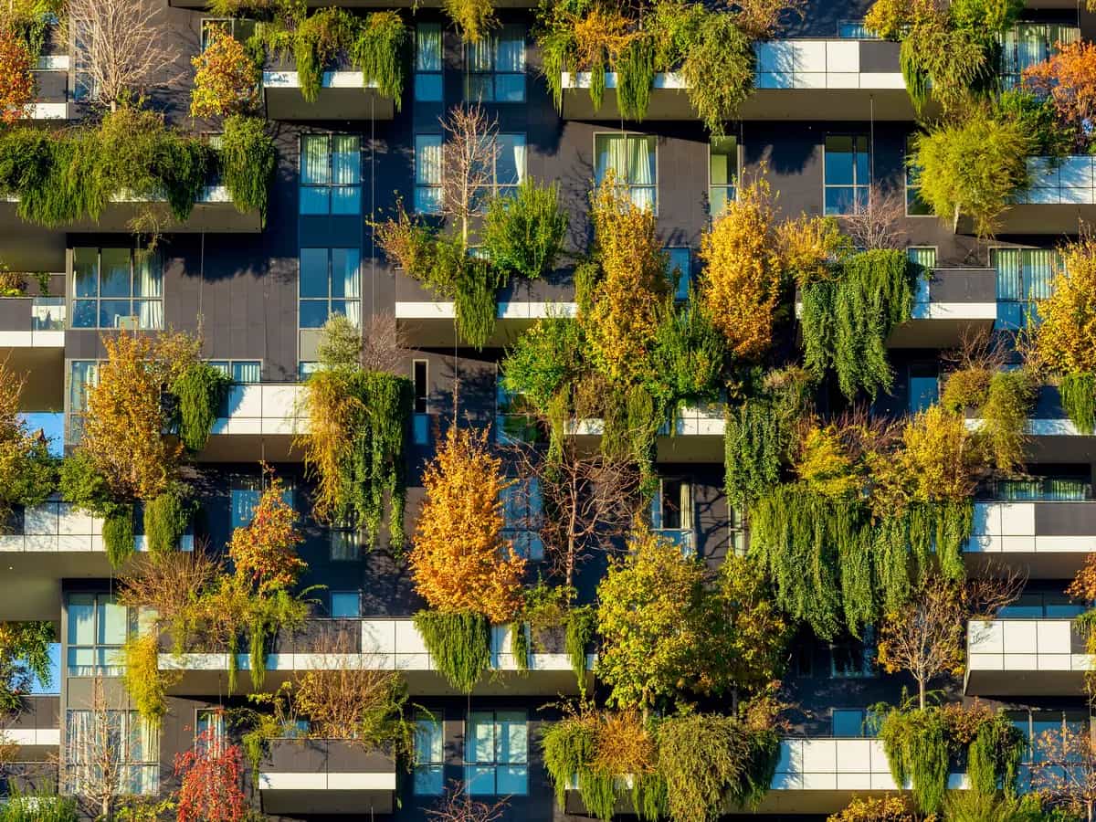 Bioarchitettura: cos’è e quali sono i materiali più utilizzati