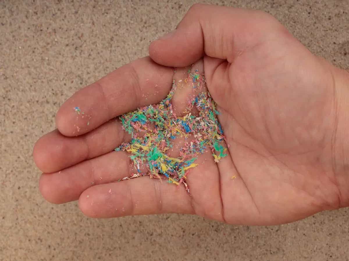 Quali sono i prodotti che contengono microplastiche?