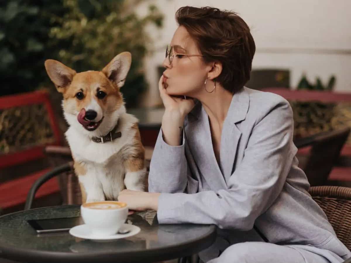 Caffeina, ecco perché è pericolosa per il cane
