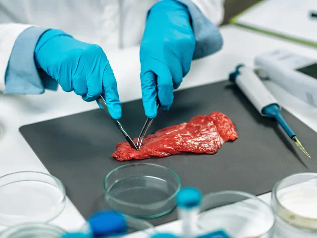 Carne coltivata: il prezzo sempre più basso grazie a questa nuova tecnica