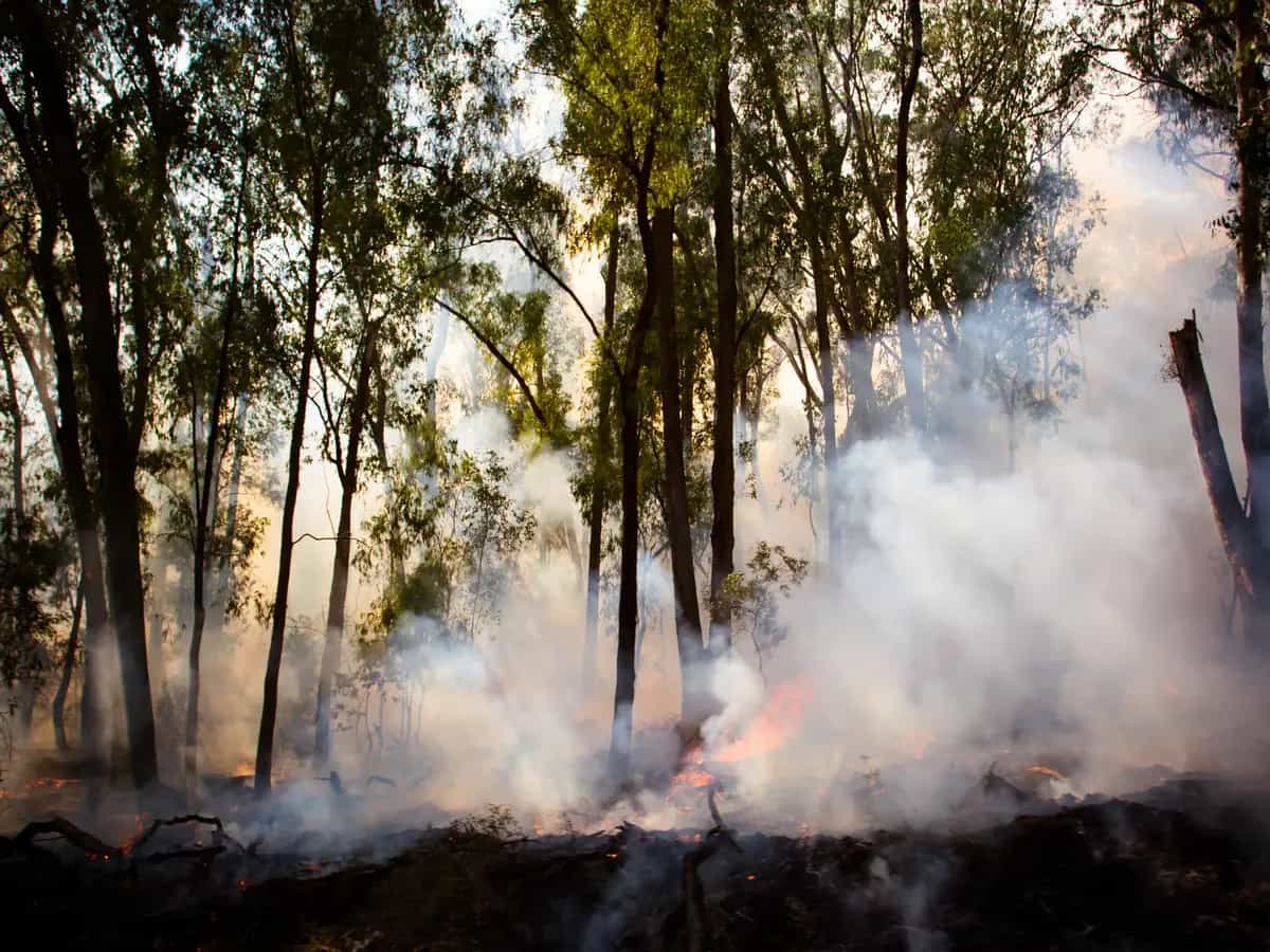 Incendi, un problema per l’inquinamento atmosferico e la salute umana