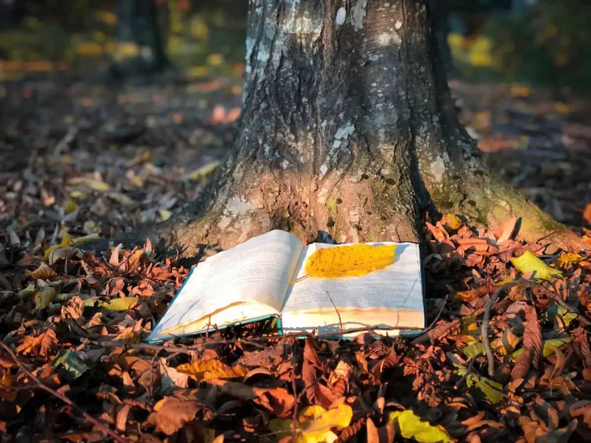 “Bosco”, la bellissima poesia di Pablo Neruda