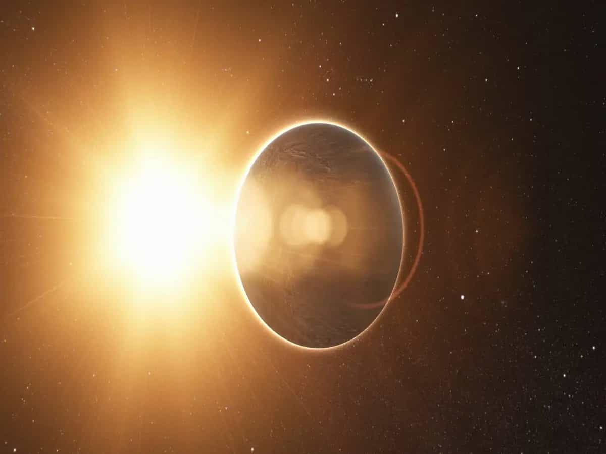 Come si comportano gli animali durante l’eclissi solare