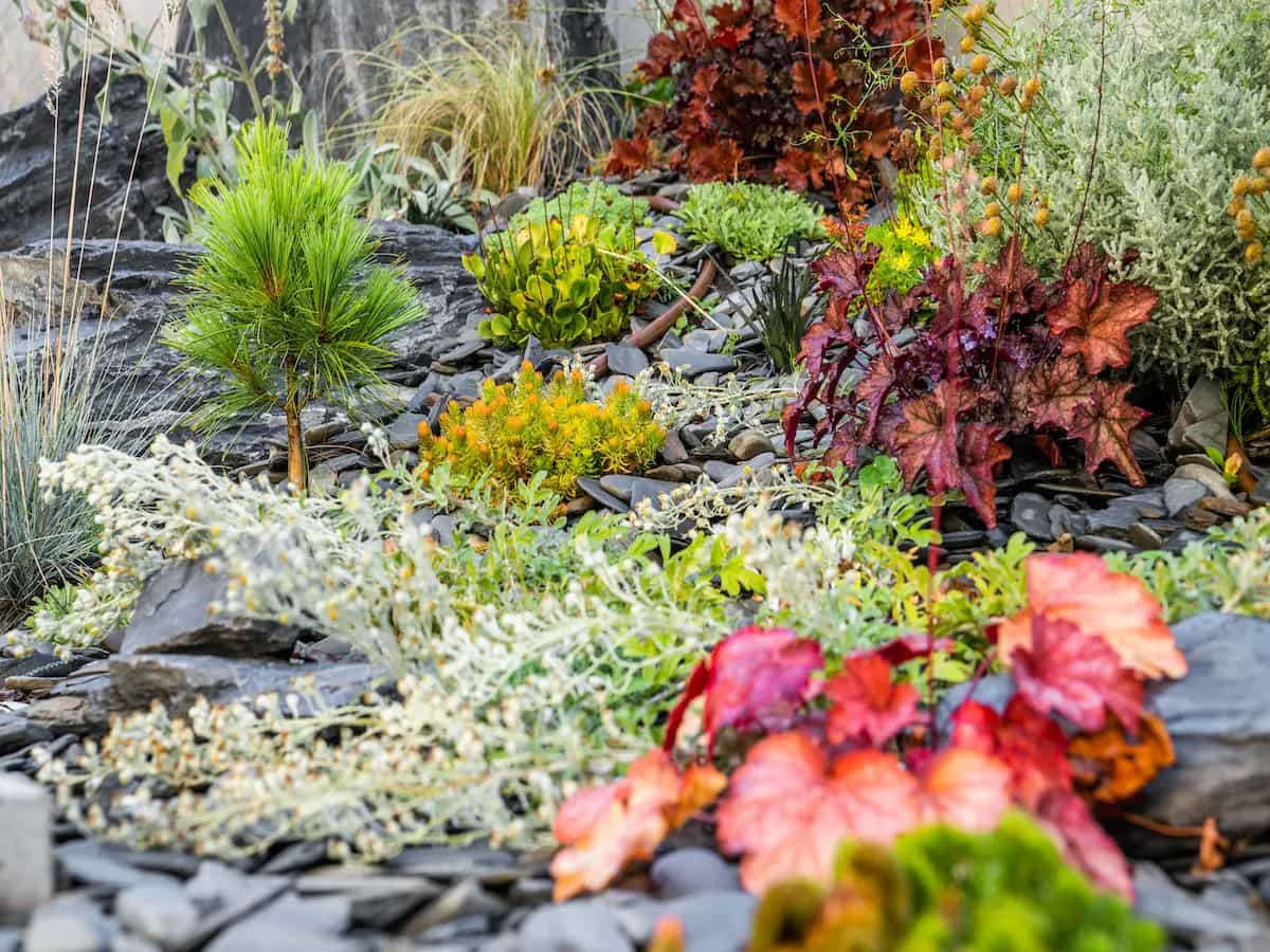 Come realizzare un giardino roccioso