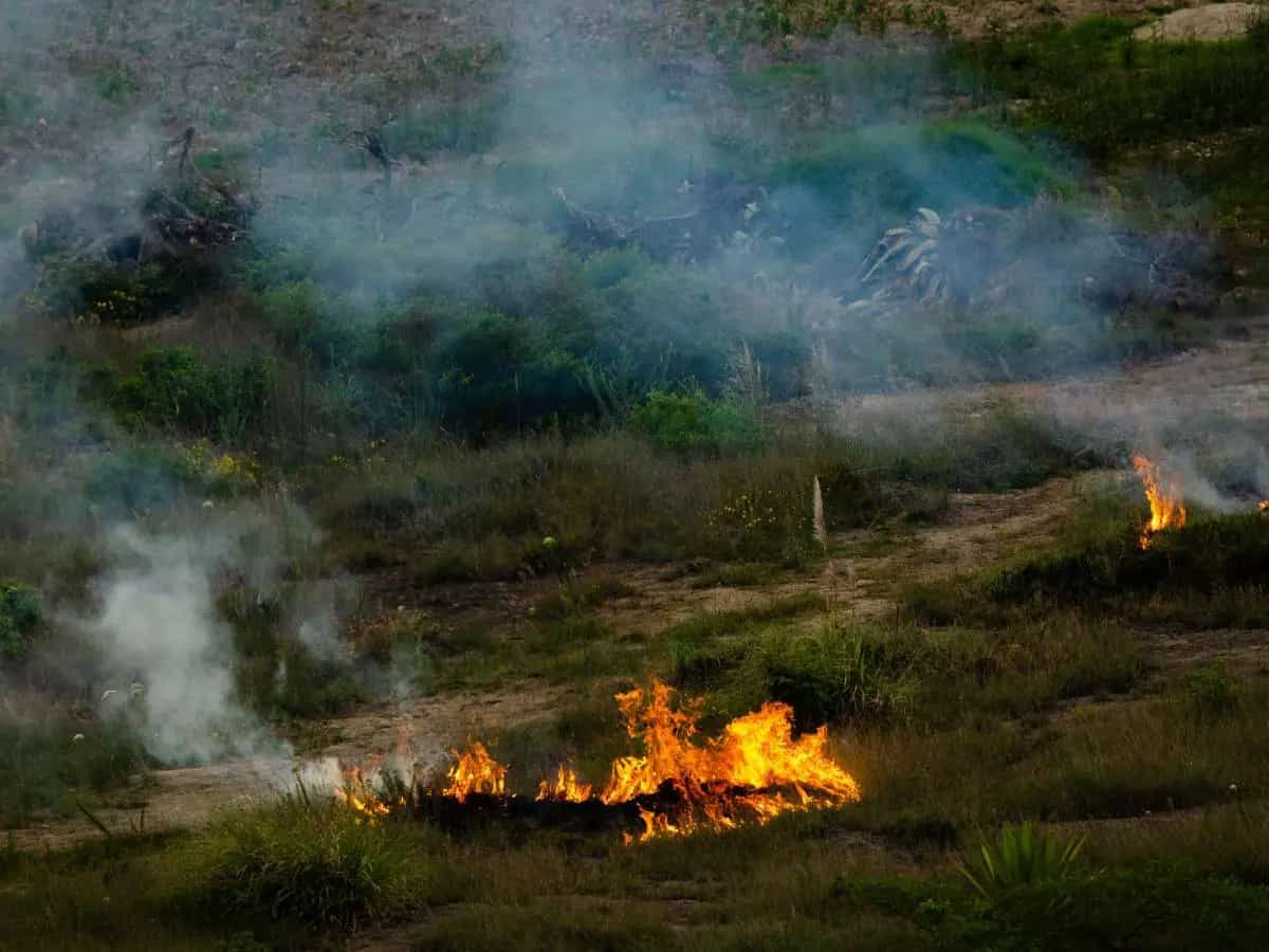 Incendi, le emissioni di CO2 tra le cause degli eventi