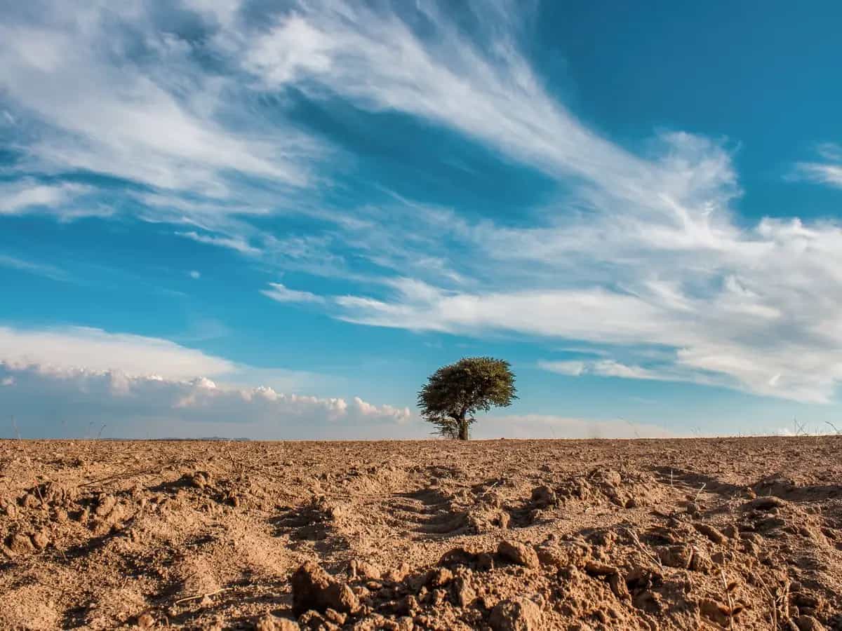 Quali sono gli effetti di El Niño nel 2024