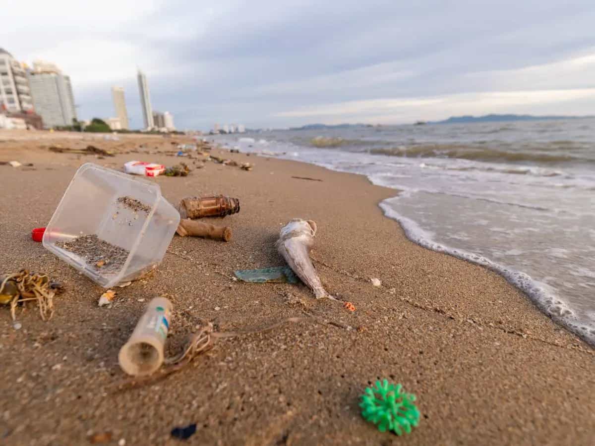 Rifiuti sulle spiagge, in Italia sono 705 ogni 100 metri