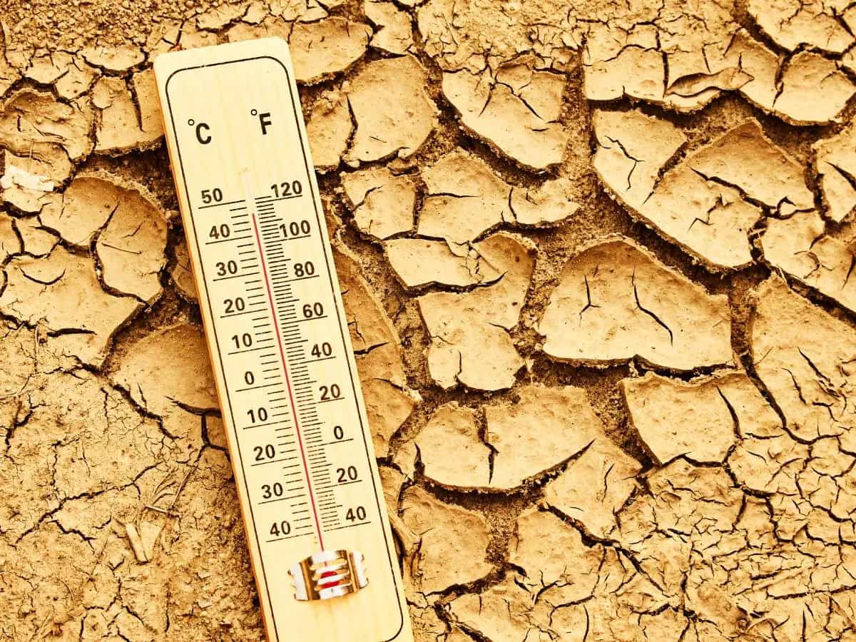 Effetti del cambiamento climatico, cosa sta succedendo in Italia