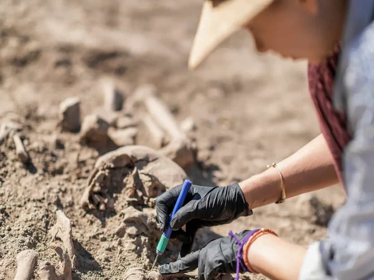 Scoperto un antico coccodrillo simile ad un armadillo
