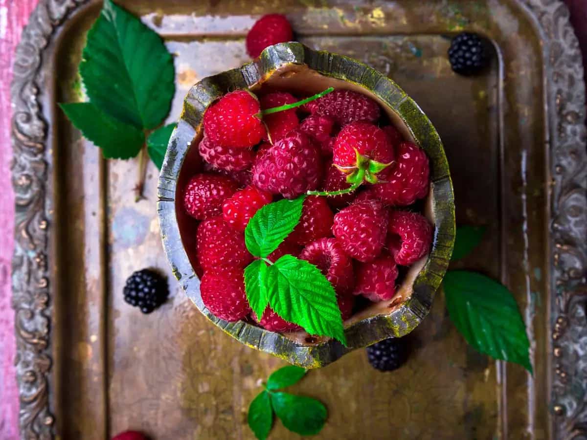 Lampone, proprietà e benefici del frutto