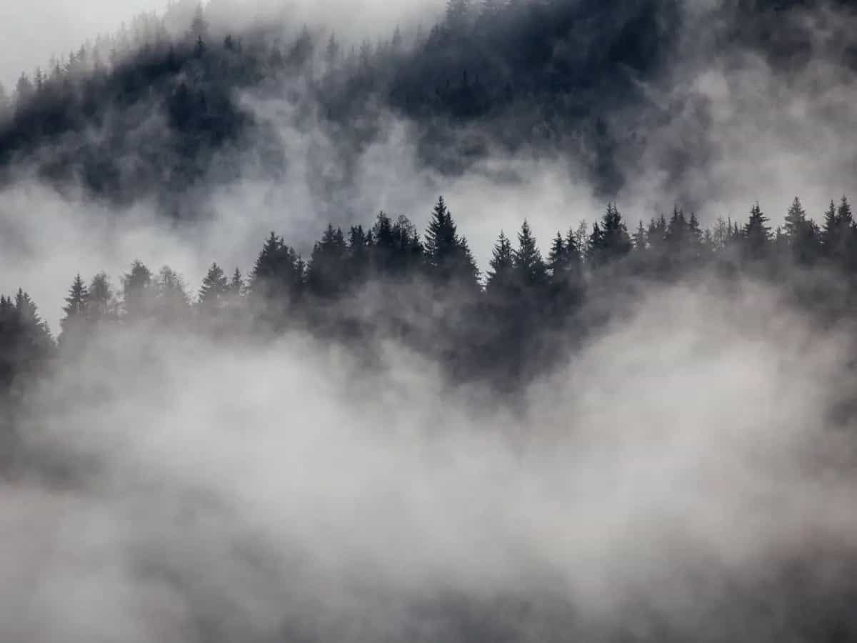 Le poesie più belle sulla nebbia