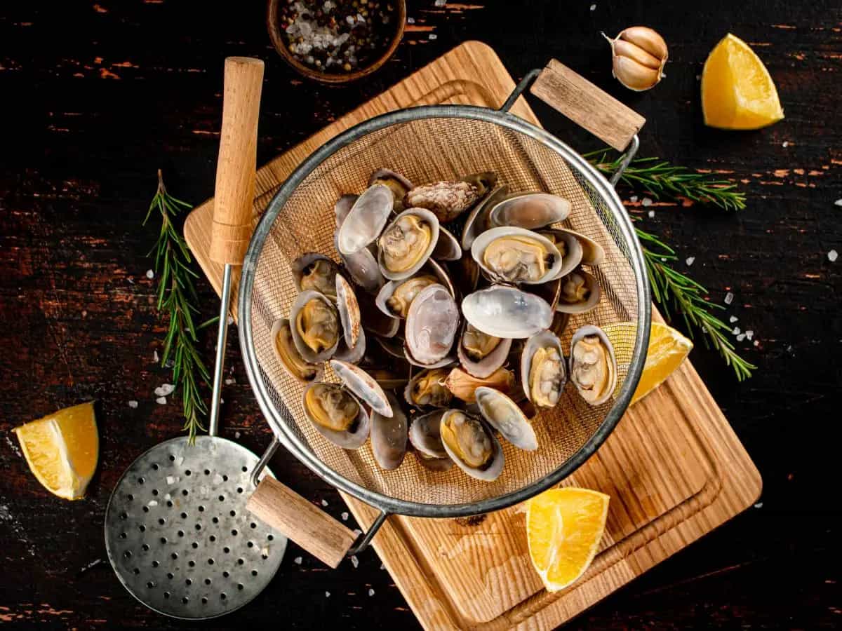 Qual è la differenza tra vongole e lupini
