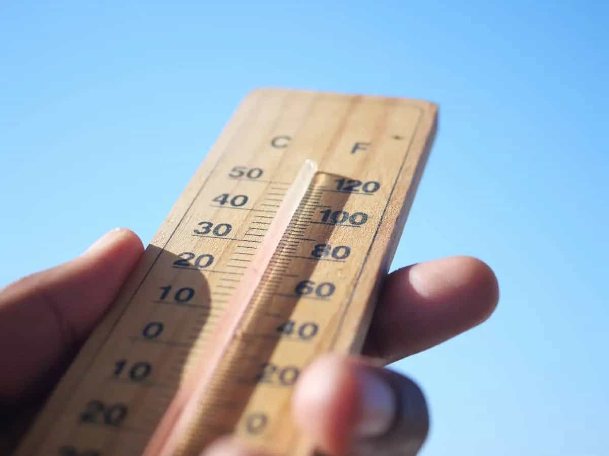 Caldo, cosa significa il bollino rosso