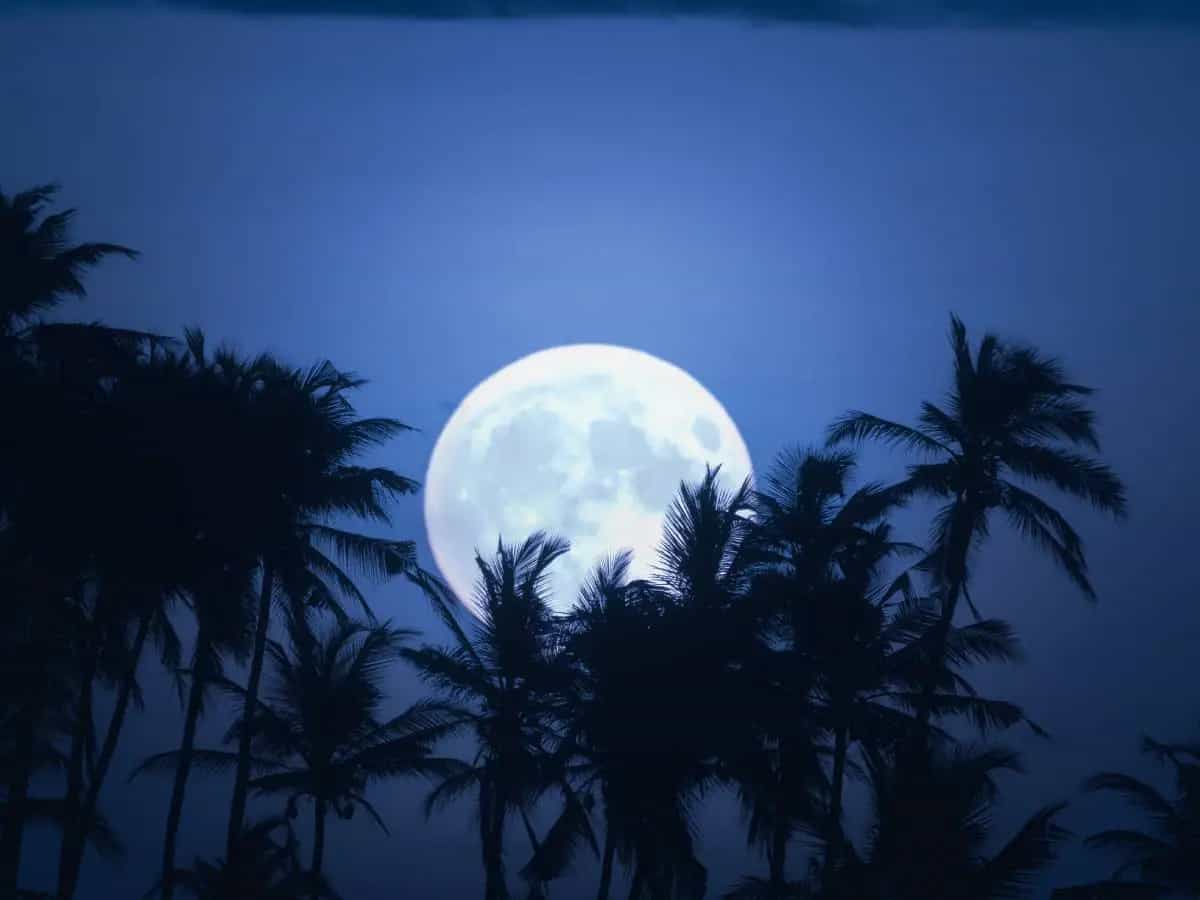 Una mezzanotte d'agosto, la bellissima poesia di Thomas Hardy