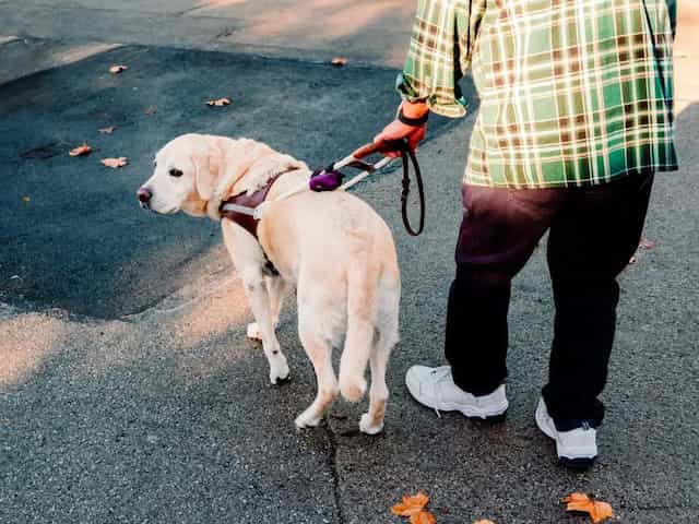 Zavorre In Ghisa Per Trattori Adattabile John Deere 10780 - Foto 6