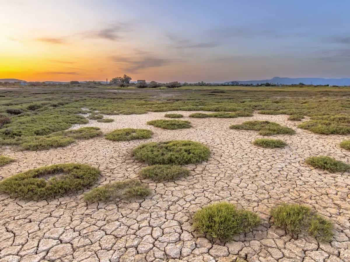 Siccità estreme, presto interesseranno interi continenti